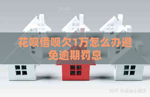 信用卡网贷欠1万怎么办避免逾期罚息