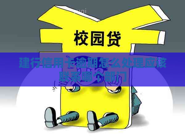 建行信用卡逾期怎么处理应该联系哪个部门