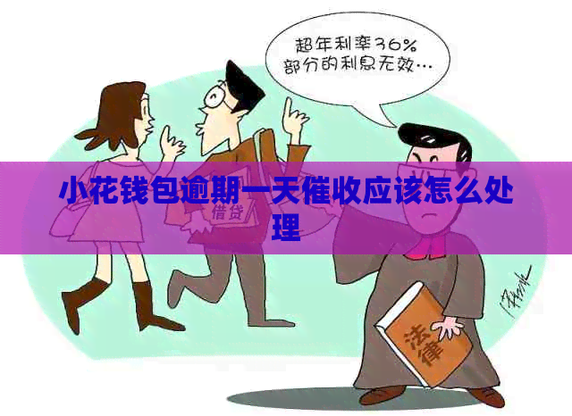 小花钱包逾期一天应该怎么处理