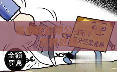 唯品花逾期公诉后会怎样处理