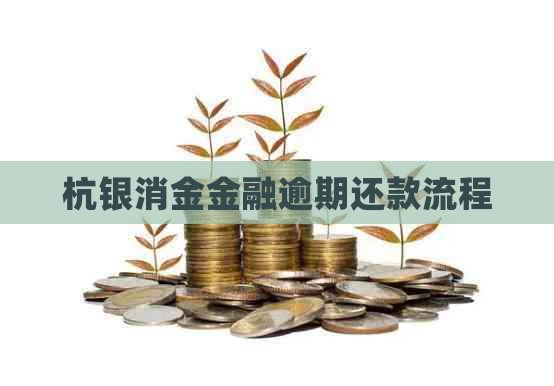 杭银消金金融逾期还款流程