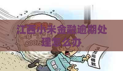 江西小米金融逾期处理怎么办