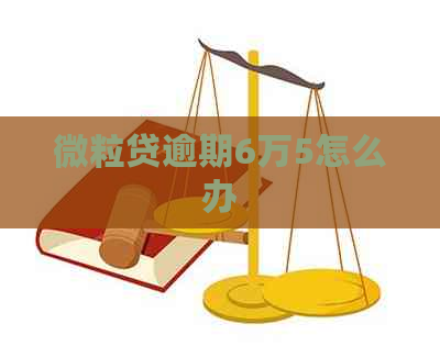 微粒贷逾期6万5怎么办
