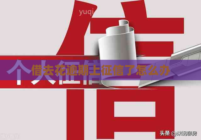 借去花逾期上了怎么办