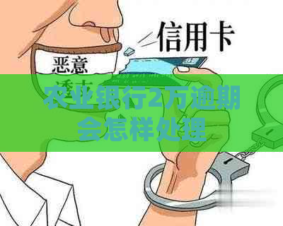 农业银行2万逾期会怎样处理