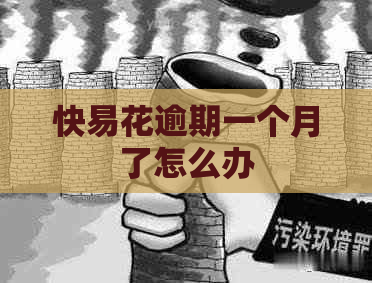 快易花逾期一个月了怎么办