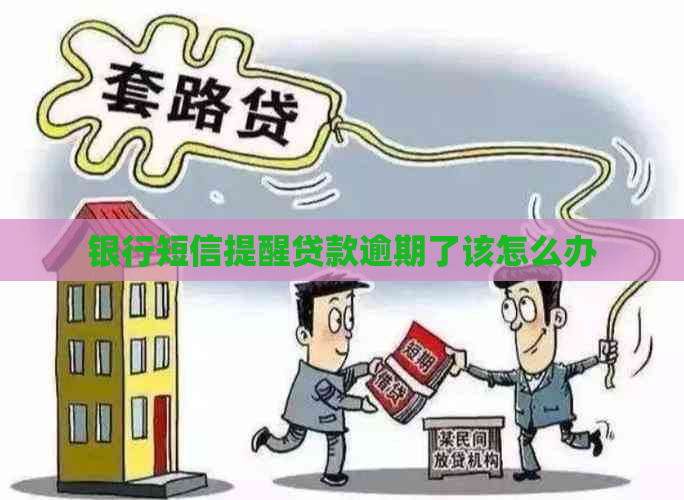 银行短信提醒贷款逾期了该怎么办
