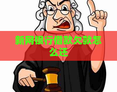 新网银行借款欠款怎么还