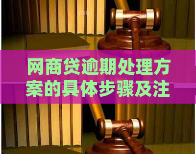 网贷逾期处理方案的具体步骤及注意事项