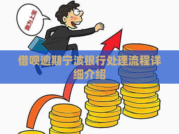 网贷逾期宁波银行处理流程详细介绍