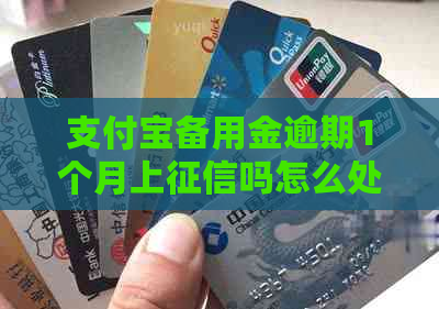 支付宝备用金逾期1个月上吗怎么处理