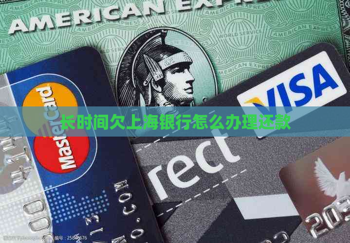 长时间欠上海银行怎么办理还款