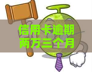 信用卡逾期两万三个月