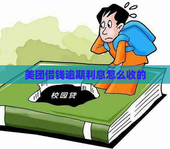美团借钱逾期利息怎么收的