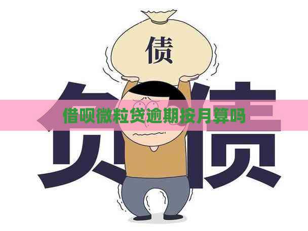 网贷微粒贷逾期按月算吗