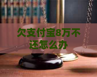 欠支付宝8万不还怎么办