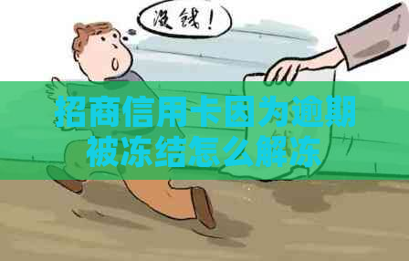 招商信用卡因为逾期被冻结怎么解冻