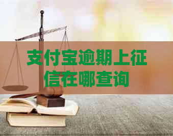 支付宝逾期上在哪查询