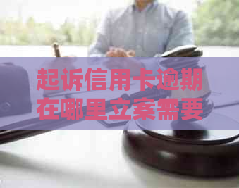 起诉信用卡逾期在哪里立案需要注意什么事项