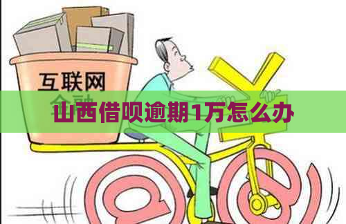 山西网贷逾期1万怎么办