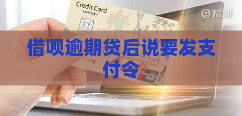 网贷逾期贷后说要发支付令