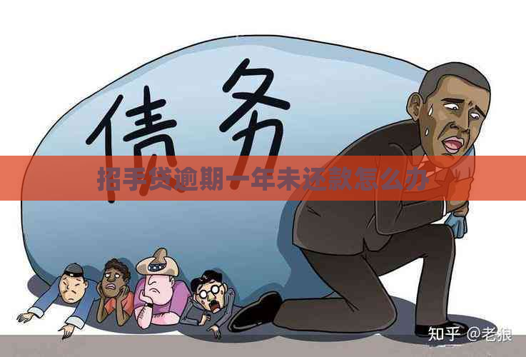 招手贷逾期一年未还款怎么办