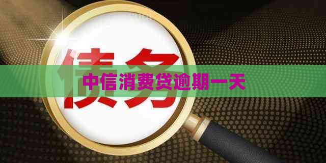 中信消费贷逾期一天