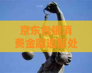 京东包银消费金融逾期处理流程
