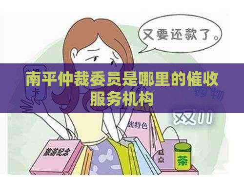 南平仲裁委员是哪里的服务机构