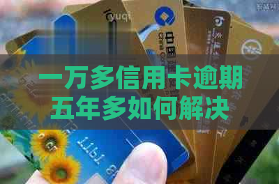一万多信用卡逾期五年多如何解决