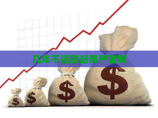 几年不还款后果严重吗