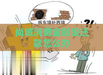 尚城消费金融没还款怎么办
