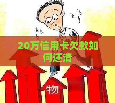 20万信用卡欠款如何还清