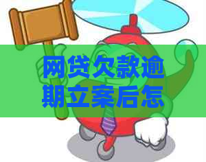 网贷欠款逾期立案后怎么应对