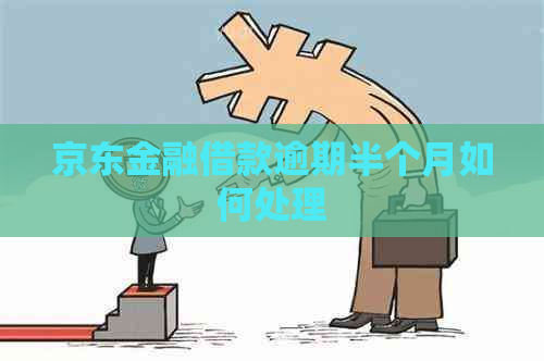 京东金融借款逾期半个月如何处理