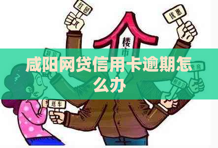 咸阳网贷信用卡逾期怎么办