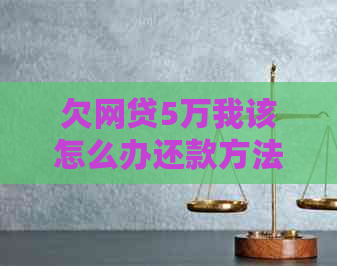 欠网贷5万我该怎么办还款方法有哪些