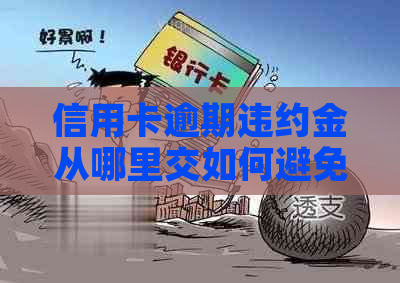 信用卡逾期违约金从哪里交如何避免