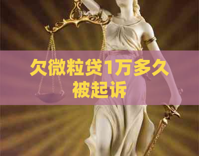 欠微粒贷1万多久被起诉