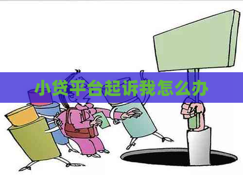 小贷平台起诉我怎么办