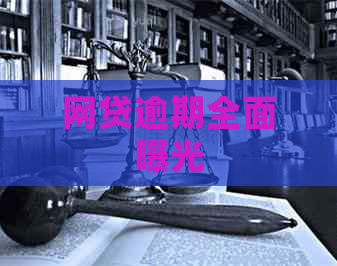 网贷逾期全面曝光