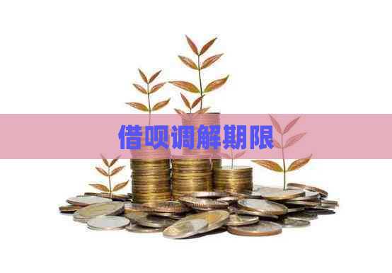 网贷调解期限