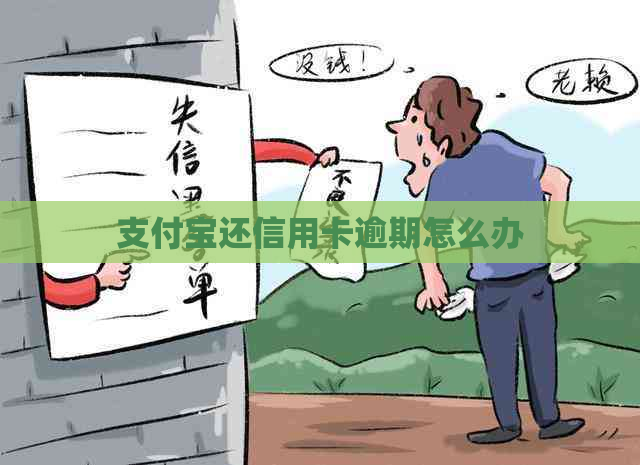 支付宝还信用卡逾期怎么办