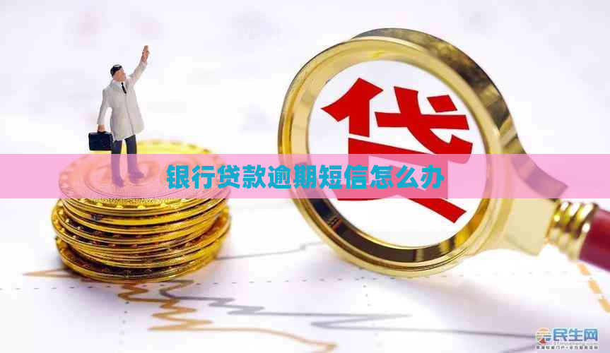 银行贷款逾期短信怎么办