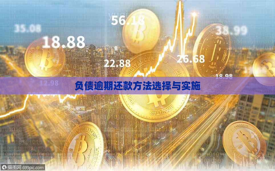 负债逾期还款方法选择与实施