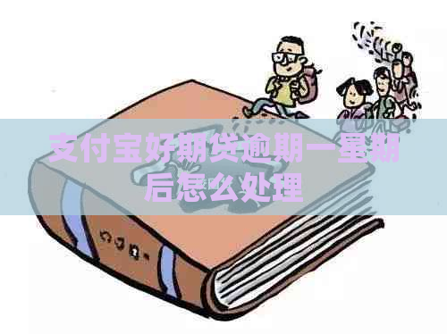 支付宝好期贷逾期一星期后怎么处理