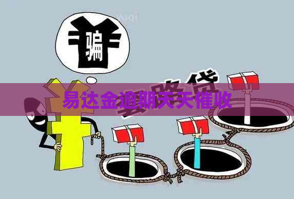 易达金逾期天天
