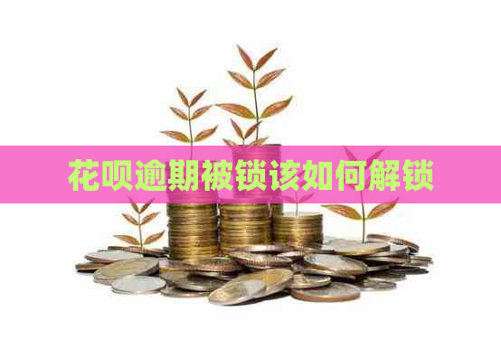 信用卡逾期被锁该如何解锁