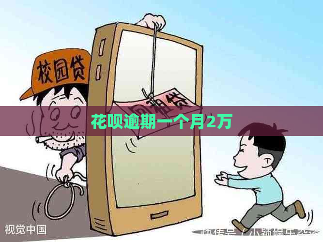 信用卡逾期一个月2万