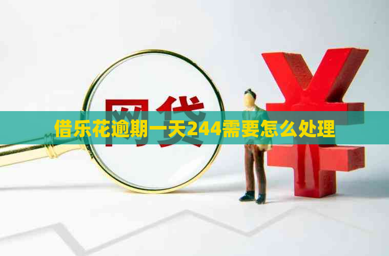 借乐花逾期一天244需要怎么处理